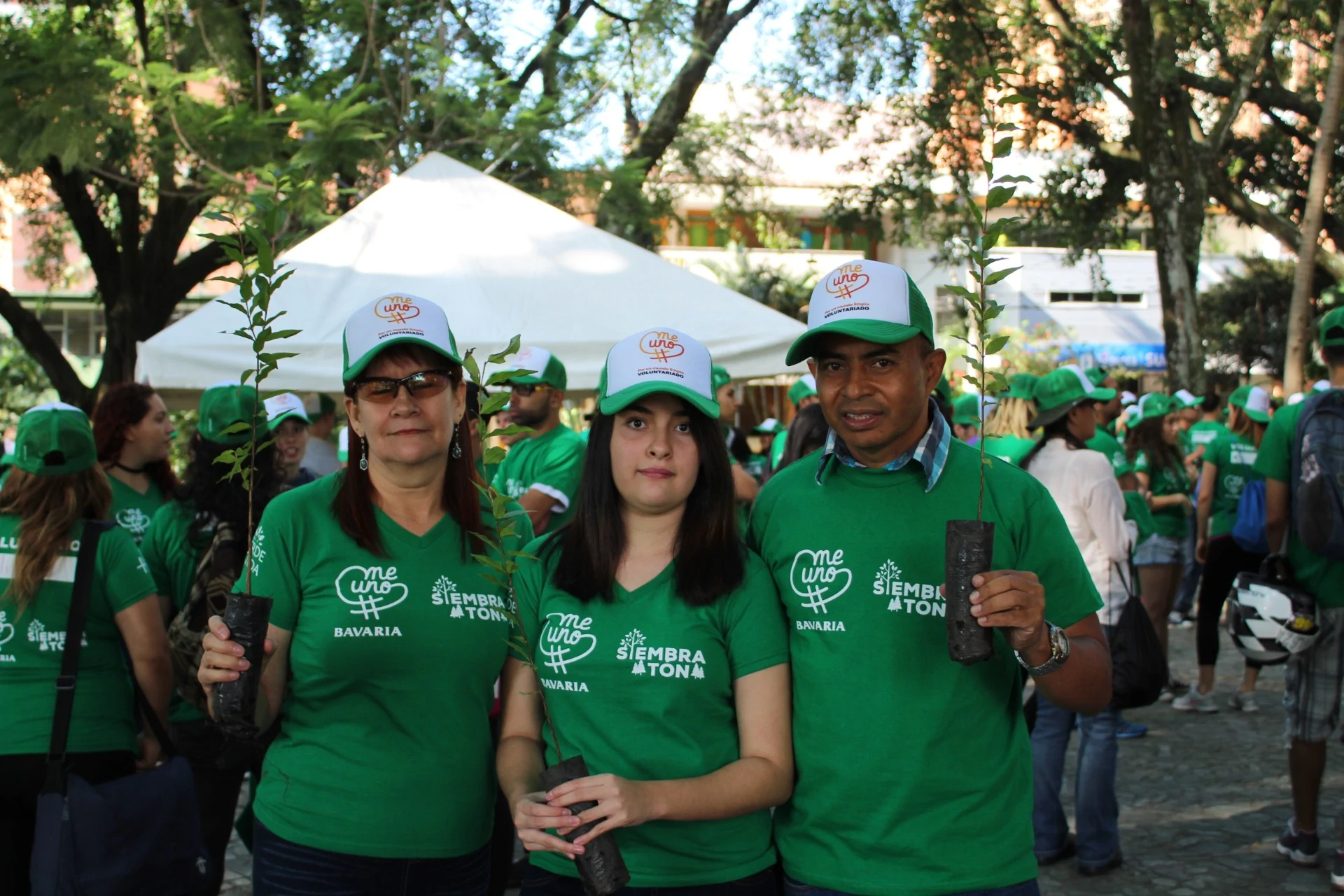 Proyecto jornadas siembras de árboles